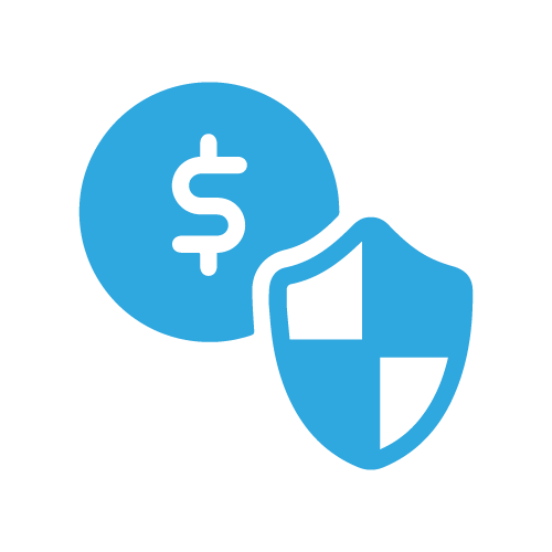Asset Protection: